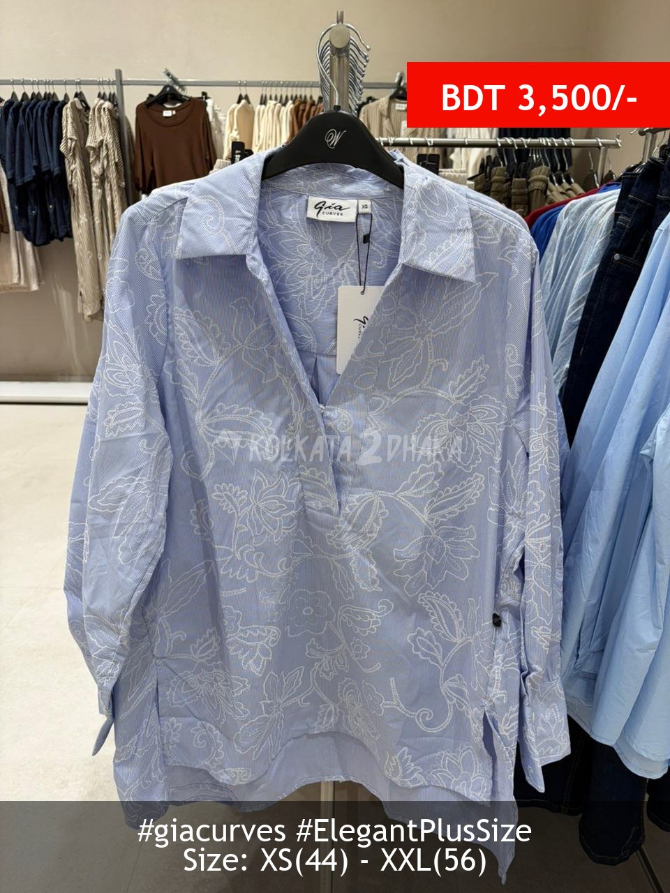 Gia Curves blue blouse